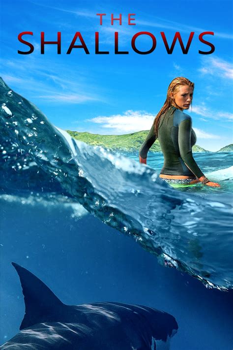 tinyzone the shallows|The Shallows (2016) .